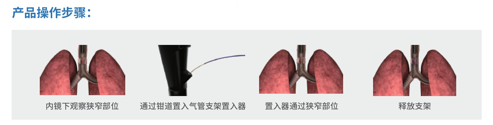 微信截图_20231208155234